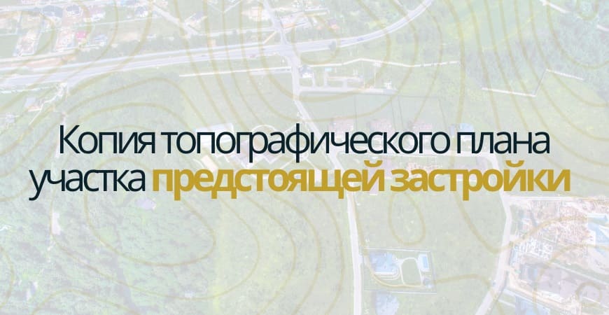 Копия топографического плана участка в Лунинском районе